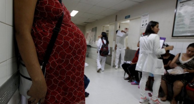 La OMS declaró la emergencia sanitaria internacional por el brote del zika