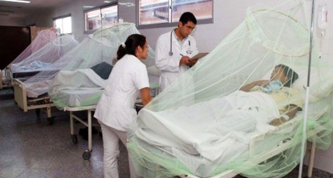 Hace 15 años Paraguay convive con el dengue y “nadie hace nada”