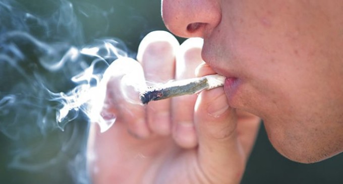 Cannabis es la droga más consumida en la Unión Europea