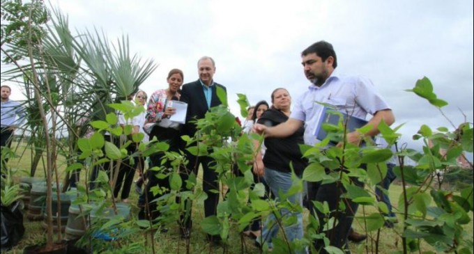Inician arborización en la Costanera con 700 plantas nativas