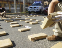 Supuestos implicados son procesados por tenencia de gran cargamento de marihuana