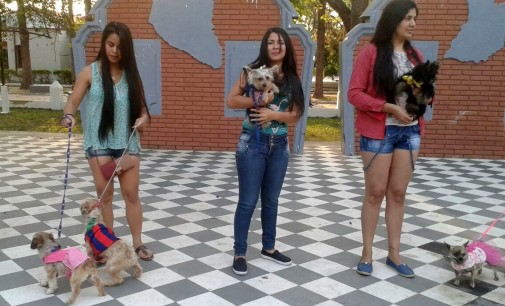 Mascotas desfilan y se protegen contra la rabia en Pilar