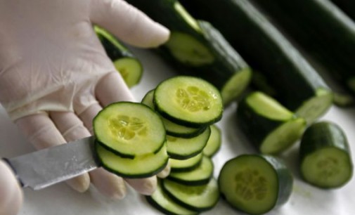 En el pepino y el brócoli estaría la clave para frenar el envejecimiento