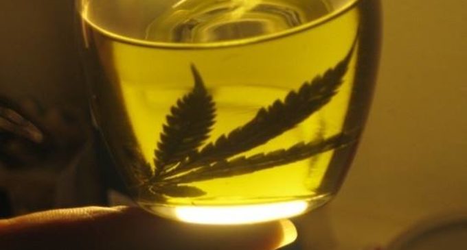 Unas 60 personas utilizan marihuana con fines terapéuticos
