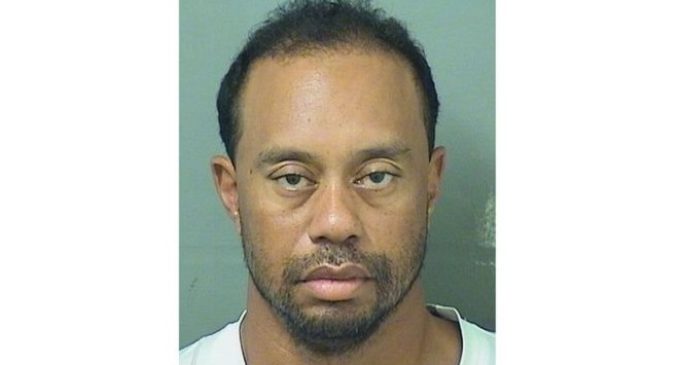 Tiger Woods dijo que conducía bajo los efectos de medicamentos recetados