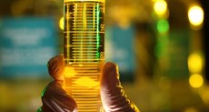 Esperan que producción de biodiesel se reactive tras fijación de nuevo precio