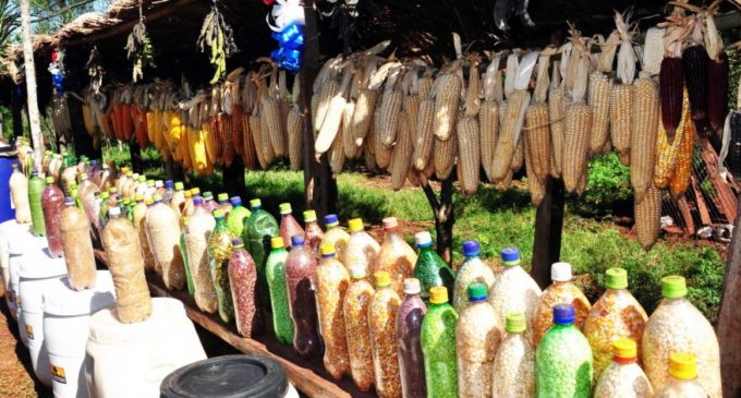 Cerca de 400 pequeños productores estarán presentes en la feria de semillas “Heñói”