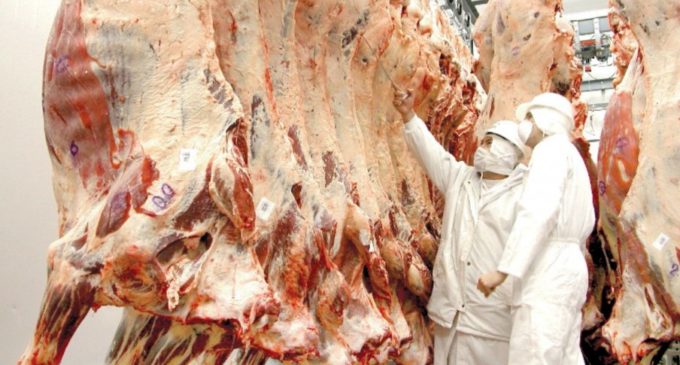 Carne paraguaya llega a Emiratos Árabes