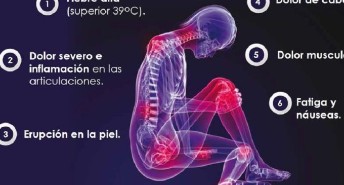 ¿Fiebre y dolores musculares?, pueden ser síntomas de Chikungunya