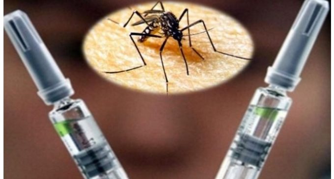 “Por falta de evidencia de efectividad”, recomiendan a Salud Pública no incluir vacuna antidengue en esquema nacional