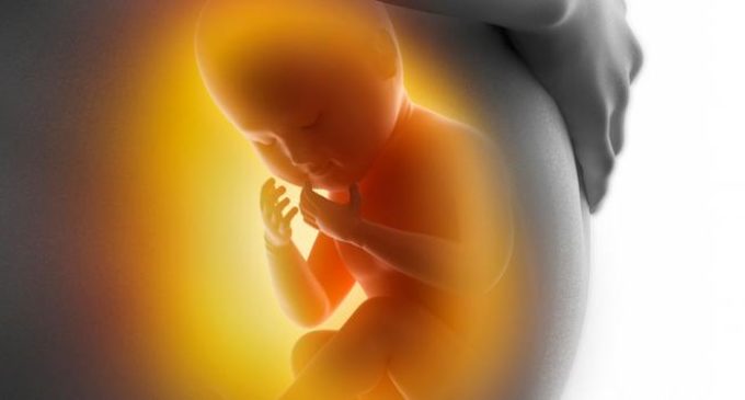Zika: Salud lanza recomendaciones para embarazadas