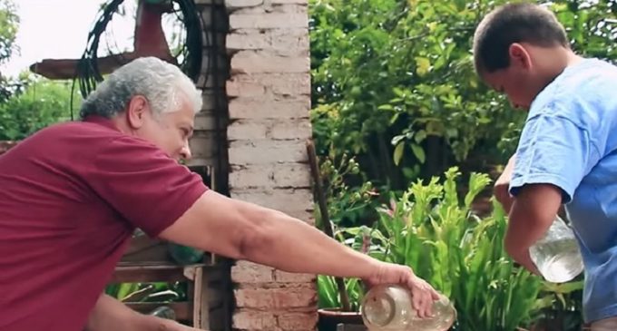 Chikungunya: Unos minutos para eliminar criaderos mantienen a tu familia a salvo