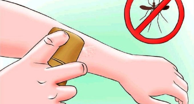 Evita picaduras de mosquitos en actividades al aire libre