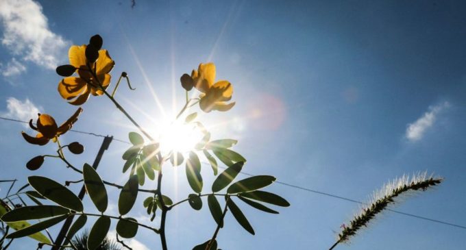 Jueves caluroso con máxima de 36 grados
