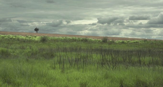 Denuncian que Ejecutivo modificó ley de escala tributaria por tenencia de tierras