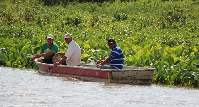 Veda pesquera inicia en noviembre