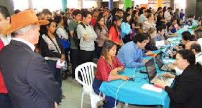 Dirección de Empleos quiere llegar a 8.000 beneficiados