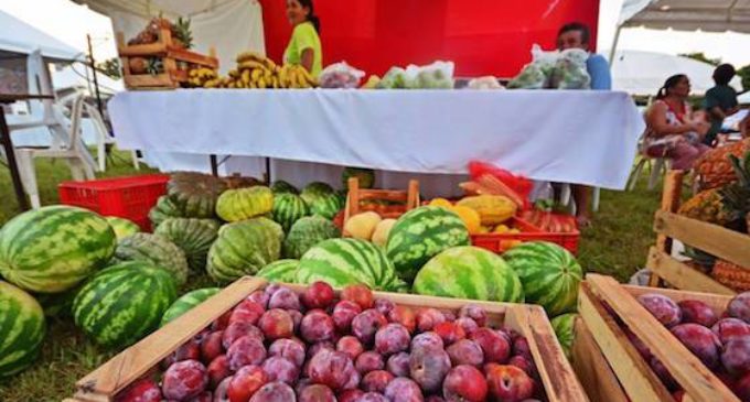 Se acerca la Expo Frutas en La Colmena