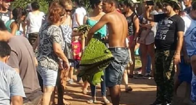 Multas de hasta 1.480 millones de guaraníes por sacar el yakare yrupẽ