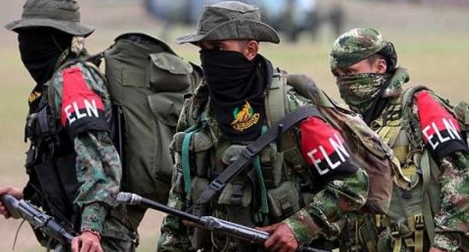 Guerrilla colombiana recluta a venezolanos y los utiliza como “carne de cañón”