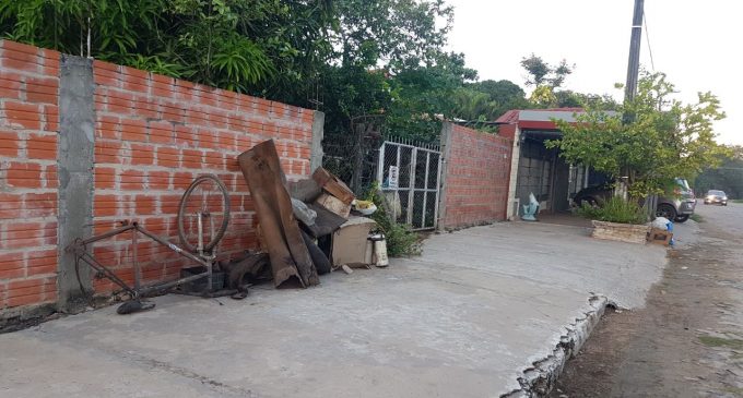 Dengue: 5 de cada 100 viviendas encuestadas están con criaderos del aedes aegypti