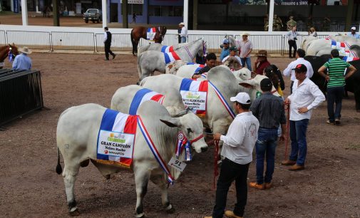 Este fin de semana culmina la 20ª Expo Canindeyú