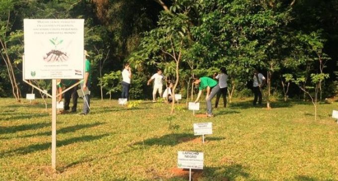 Estudiantes de la UNA reciben reconocido premio ambiental internacional