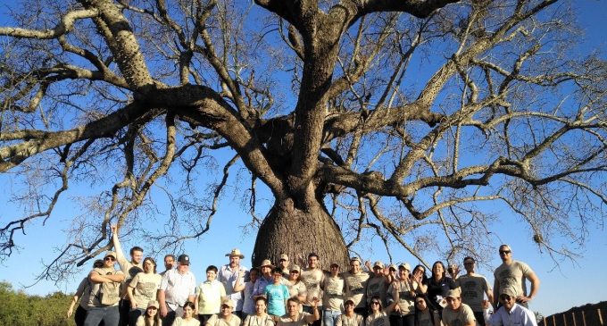 Última semana de inscripciones para el concurso ‘Los Colosos de la Tierra’