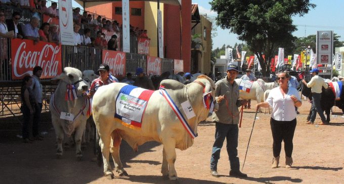 Mañana comienza la Expo 2018