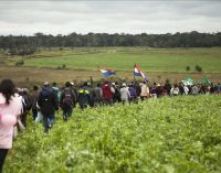 ARP denuncia ocupación de tierras