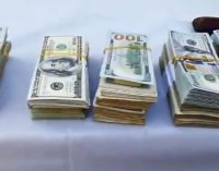 En cinco meses, SENABICO lleva recaudados US$ 2 millones en incautaciones