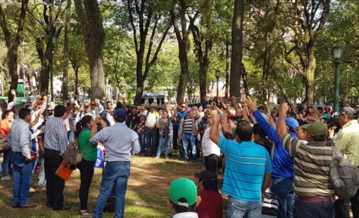 Organizaciones campesinas también pedirán subsidio