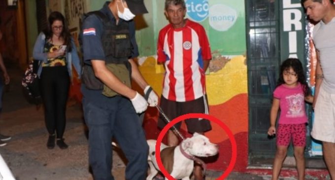 Habló supuesta implicada en múltiple asesinato: “El perro tenía sangre en el hocico”