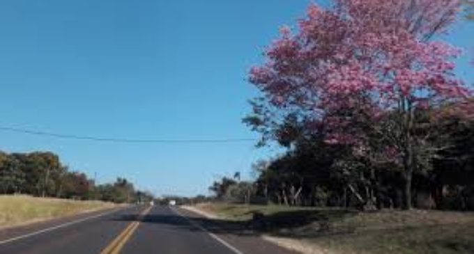 Inicio de semana caluroso y soleado