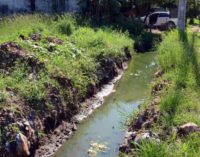 Luque es la ciudad con mayor riesgo de brote masivo de dengue