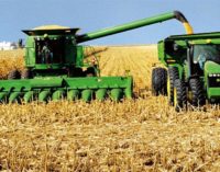 Grandes pérdidas para la soja ante falta de lluvias, anuncian productores