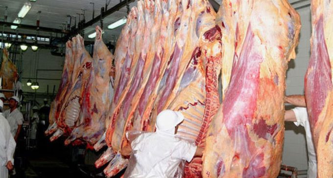 Sector cárnico reportó caída en exportación el año pasado
