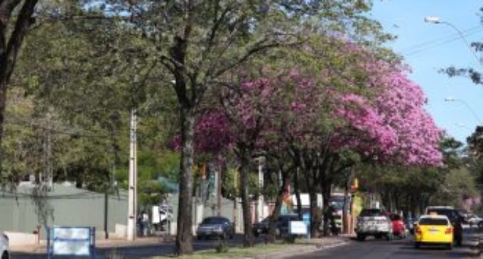Caluroso inicio de última semana de febrero