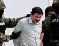 Condenan a cadena perpetua al Chapo Guzmán