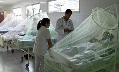 Casos de dengue también se presentan con diarrea