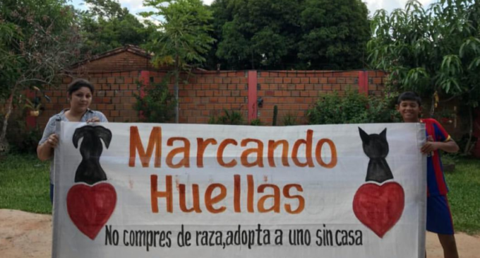 Jóvenes se unen para rescatar animales