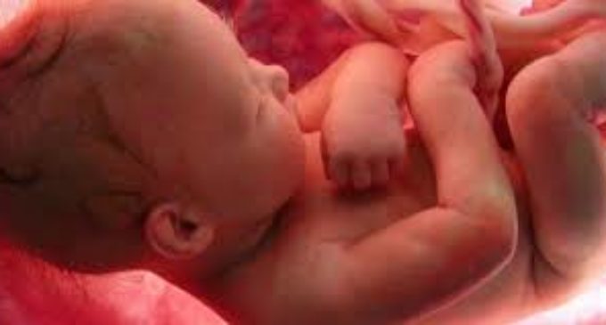 Más de 30 mil abortos se realizaron en el 2012 en todo el país, según un estudio