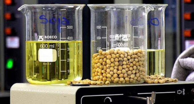 Biocombustible sería producido en base a aceite de soja