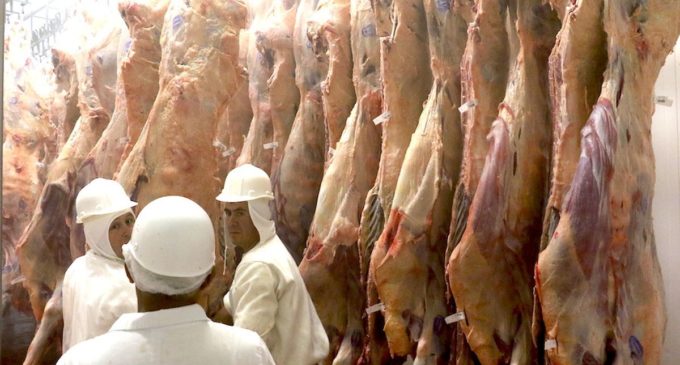 Carne sufre caída de valores a causa de contexto regional