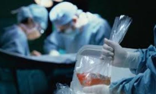 Buscan concienciar sobre donación de órganos