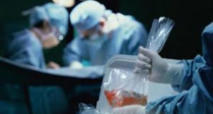 Buscan concienciar sobre donación de órganos