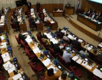 El Senado se declara Pro vida y pro familia
