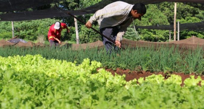 El Gobierno llegó a un acuerdo con campesinos sobre sus deudas