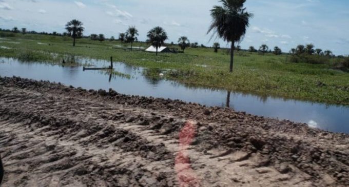 Continúa alerta en Alberdi por crecida del río