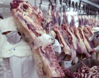 Lluvias e inundaciones provocan caída de exportaciones de carne
